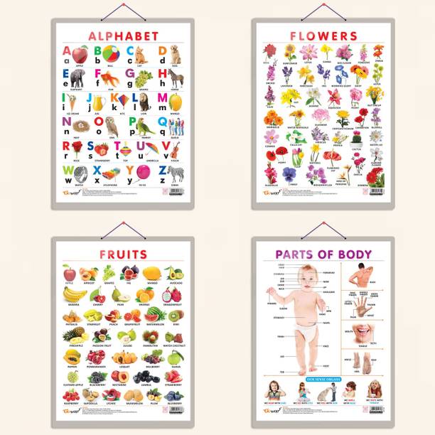 ALPHABET CHART HARD LAMINATED, FRUITS CHART HARD LAMINATED, FLOWERS CHART HARD LAMINATED, and PARTS OF BODY CHART HARD LAMINATED | combo of 4 charts | Exploring Literacy, Anatomy, and Natural Beauty Paper Print