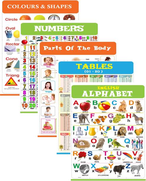 Parts Of The Body, Tables, Colours & Shapes Chart for Kids 47x65 cm (19x26 Inch) Mega Size - Laminated Early Learning Education Wall Picture Chart | English Alphabet, Numbers Charts Fine Art Print