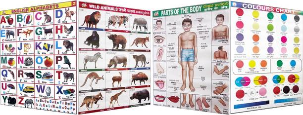 EARLY LEARNING CHART FOR KIDS, ALPHABET, ANIMALS, PARTS OF BODY, COLOURS, PACK-04 Paper Print