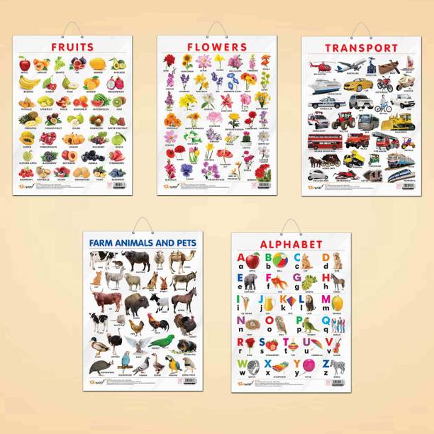 ALPHABET CHART GLOSS LAMINATED, FRUITS CHART GLOSS LAMINATED, FLOWERS CHART GLOSS LAMINATED, FARM ANIMALS AND PETS CHART GLOSS LAMINATED, and TRANSPORT CHART GLOSS LAMINATED | combo of 5 charts | Interactive Learning Essentials Kit Paper Print