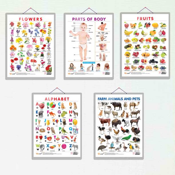 ALPHABET CHART HARD LAMINATED, FRUITS CHART HARD LAMINATED, FLOWERS CHART HARD LAMINATED, FARM ANIMALS AND PETS CHART HARD LAMINATED, and PARTS OF BODY CHART HARD LAMINATED | combo of 5 charts | Knowledge Hub Laminated Set Paper Print