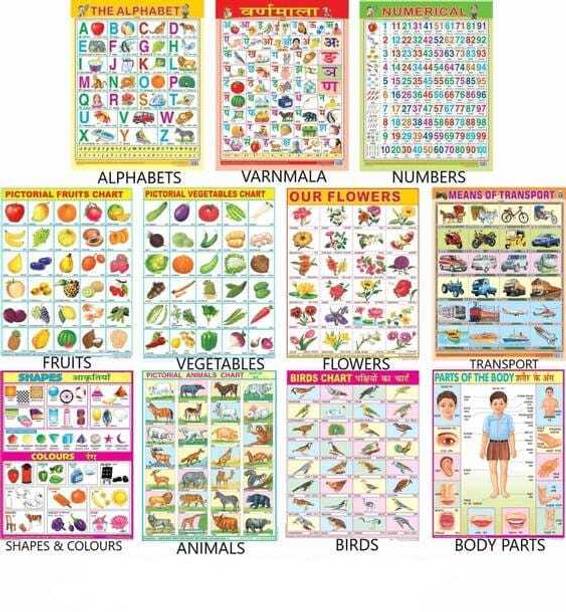 All in One Educational Charts for Kids | Learn about English Alphabet, Fruit, Vegetables, Animals, Birds, Part of Body, Hindi Vernmala, Transport, Numerical, Colour Shape & Flowers with Waterproof Picture Chart Paper Print