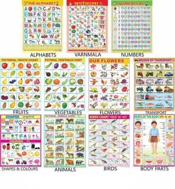All in One Educational Charts for Kids | Learn about English Alphabet, Fruit, Vegetables, Animals, Birds, Part of Body, Hindi Vernmala, Transport, Numerical, Colour Shape & Flowers with Waterproof Picture Chart Paper Print