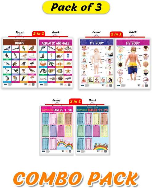My Small Chart Set of 3 Birds My Body and Multiplication Tables Educational Learning Charts Paper Print