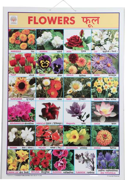 Flowers Name Learning Educational Chart for kids| Colorful Study Chart with Flower Pictures for Preschool & Nursery- Fine Art Print