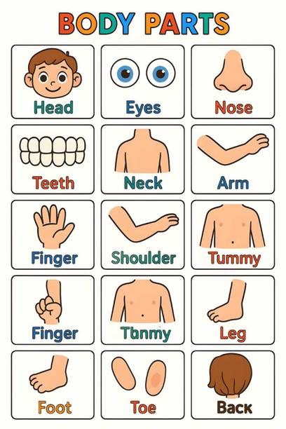 Body Parts Chart for Kids | Human Body Parts Learning Poster | Preschool & Nursery Educational Chart | Kids Classroom & Home Study Wall Chart Paper Print
