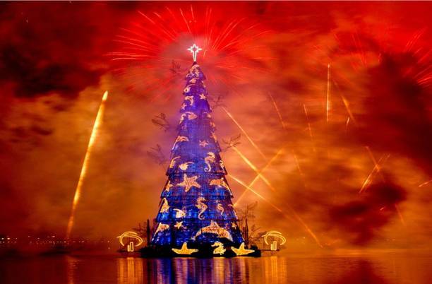 red bg with dark blue tree Sticker Poster|Christmas poster|Christmas decoration| Paper Print