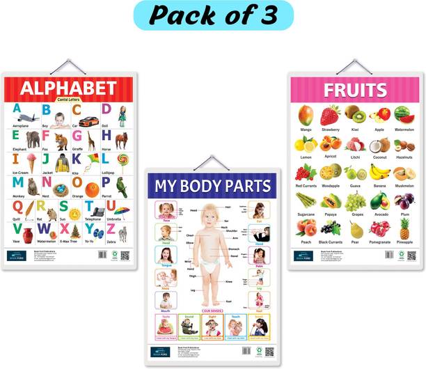 Body Parts, Alphabet and Fruits Early Learning Educational Big Chart( Set of 3) for Kids -Non-Tearable and Waterproof, Laminated-Perfect for Preschooler Paper Print