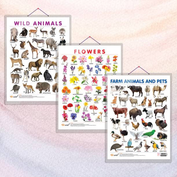 FLOWERS CHART HARD LAMINATED, FARM ANIMALS AND PETS CHART HARD LAMINATED, and WILD ANIMALS CHART HARD LAMINATED | combo of 3 charts | Charting Nature, Farmyard, and the Wilderness Paper Print