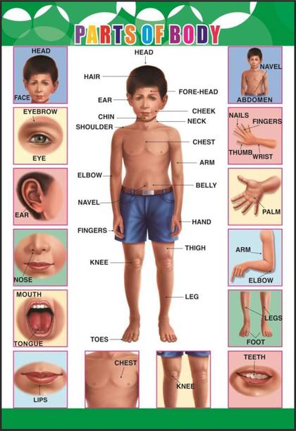 कैनवास आर्ट