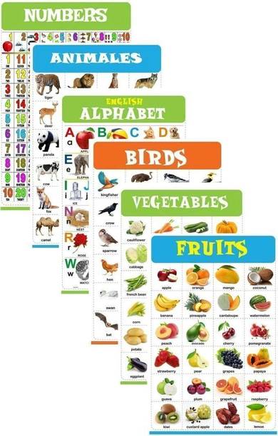 Number, Animals, Fruits, Vegetables, Alphabet & Birds Laiminate Chart For kids (6 Chart) 47cm×60cm Mega size Fine Art Print