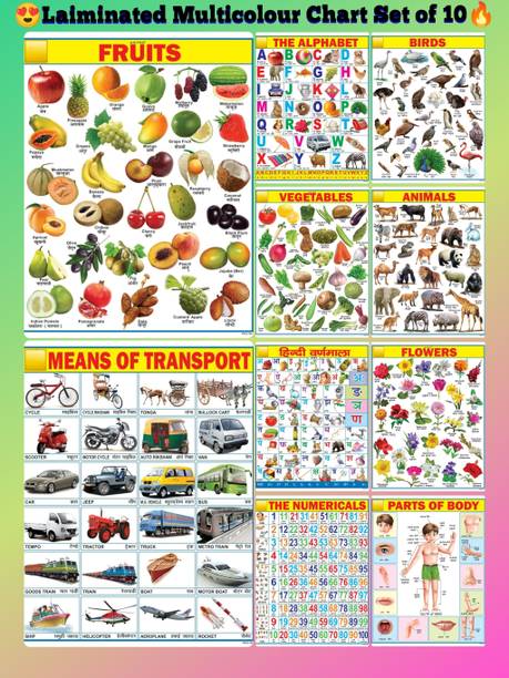 Educational Charts set for Kids | 45cm×60cm (Extra Large Size to attract Kids) | Combo of 10 Charts | Non-Tearable and Waterproof | Perfect for Homeschooling, Kindergarten and Nursery Students Fine Art Print