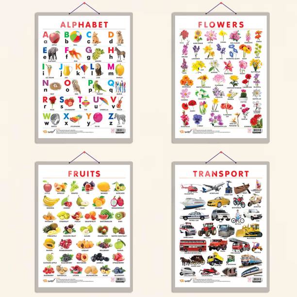 ALPHABET CHART HARD LAMINATED, FRUITS CHART HARD LAMINATED, FLOWERS CHART HARD LAMINATED, and TRANSPORT CHART HARD LAMINATED | combo of 4 charts | Educational Visuals Quartet Set Paper Print