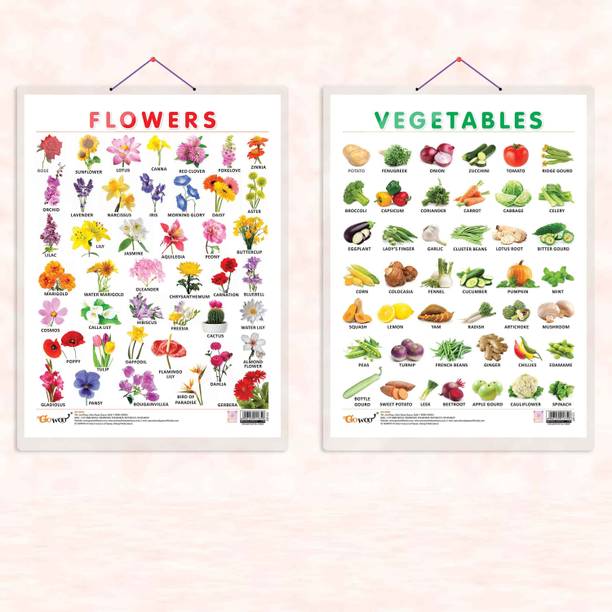 FLOWERS CHART HARD LAMINATED and VEGETABLE CHART HARD LAMINATED | combo of 2 charts | Botanical Nutrition Learning Combo Paper Print