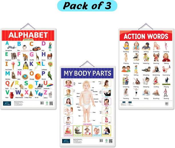Alphabet, Body Parts, Action Words Early Learning Educational Big Chart( Set of 3) for Kids -Non-Tearable and Waterproof, Laminated-Perfect for Preschooler Paper Print
