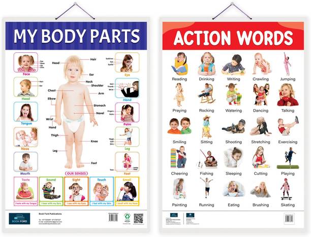 Action Words, My Body Parts Early Learning Educational Chart (set of 2) for Kids-Non-Tearable and Waterproof, Perfect for Homeschooling, Kindergarten and Nursery Childrens Paper Print