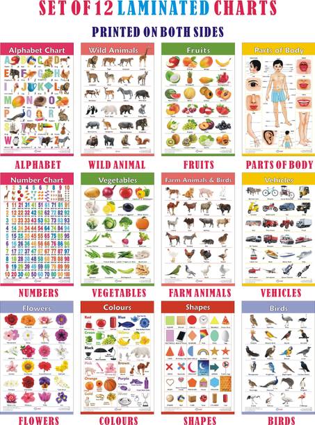 Charts for Kids Learning | Set of 12 Charts ( Printed on Both Sides ) | 30 x 45 cm | Alphabet, Numbers, Birds, Animals, Fruits, Vegetables, Shapes, Colours, Parts of Body, Vehicles, Domestic Animals & Flowers Chart | Perfect for Homeschooling, Kindergarten and Nursery Students | Photographic Paper