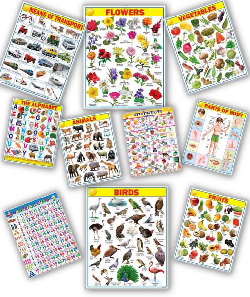 Learning Educational Charts for Kids | Learn about English Alphabet, Fruit, Vegetables, Animals, Birds, Part of Body, Hindi Vernmala, Transport, Numerical, Colour Shape & Flowers with Waterproof Picture Chart Paper Print