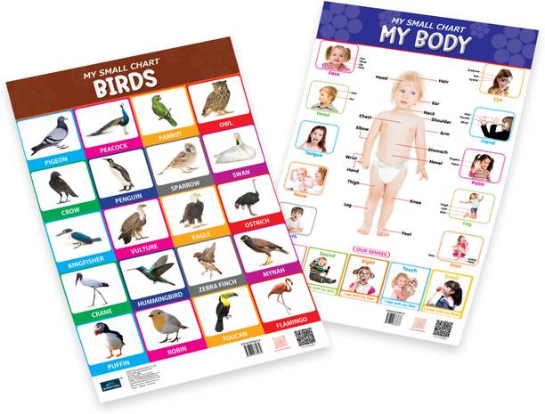My small chart Birds & My Body (Set of 2) Fine Art Print