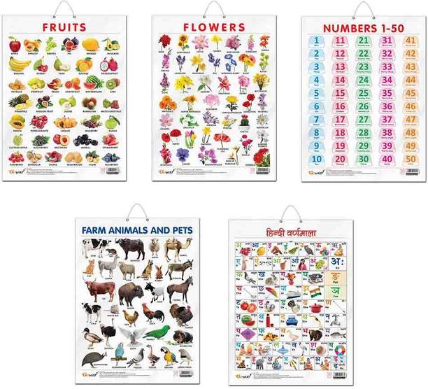 FRUITS CHART GLOSS LAMINATED, FLOWERS CHART GLOSS LAMINATED, FARM ANIMALS AND PETS CHART GLOSS LAMINATED, HINDI VARNMALA CHART GLOSS LAMINATED, and NUMBER 1-50 CHART GLOSS LAMINATED | combo of 5 charts | Fun and Engaging Learning Pack Paper Print