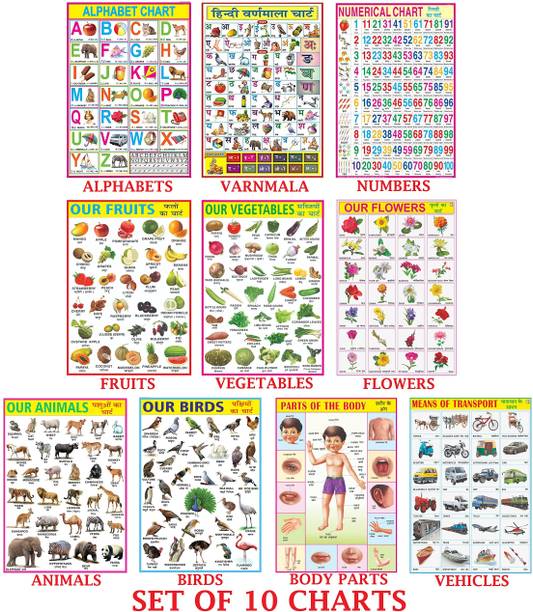 Early Learning Educational Charts set for Kids | 70x100 cm (Extra Large Size to attract Kids) | Combo of 10 Charts | Non-Tearable and Waterproof | Perfect for Homeschooling, Kindergarten and Nursery Students | Alphabet, Numbers, Birds, Animals Product Bundle – Illustrated, 5 February 2022 Photographic Paper