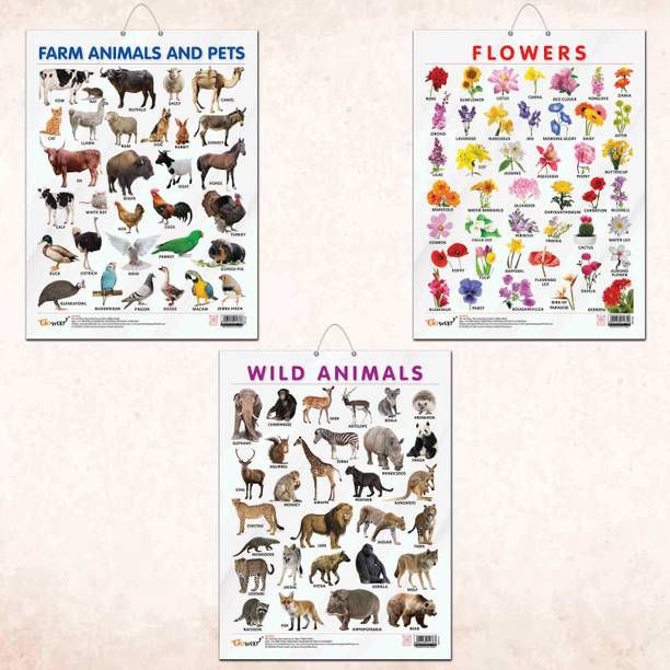 FLOWERS CHART GLOSS LAMINATED, FARM ANIMALS AND PETS CHART GLOSS LAMINATED, and WILD ANIMALS CHART GLOSS LAMINATED | combo of 3 charts |Nature's Kaleidoscope: Illustrated Learning Trio Paper Print