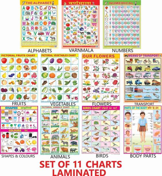 All in One Educational Charts for Kids | Learn about English Alphabet, Fruit, Vegetables, Animals, Birds, Part of Body, Hindi Vernmala, Transport, Numerical, Colour Shape & Flowers with Waterproof Picture Chart Paper Print