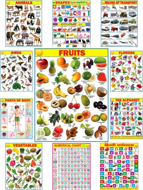 Educational Learning Poster set for Kids | 45cm×60cm (Extra Large Size to attract Kids) | Combo of 11 Charts | Non-Tearable and Waterproof | Perfect for Homeschooling, Kindergarten and Nursery Student Fine Art Print