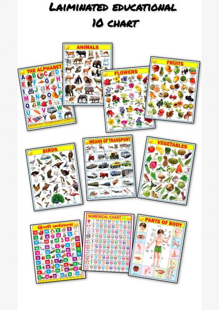 Early Learning Educational Charts Set for Kids | Set of 10 Charts ( HD Printing ) | 45x60cm | Non-Tearable and Waterproof | Perfect for Homeschooling, Kindergarten and Nursery Students | Alphabet, Numbers, Birds, Animals, Fruits, Vegetables, Parts of Body, Vehicles, Animals & Flowers Chart ( Laminated) Fine Art Print