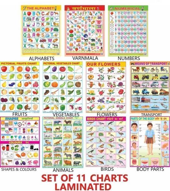 All in One Educational Chart for Kids | 45×60cm (Extra Large Size to attract Kids) Paper Print