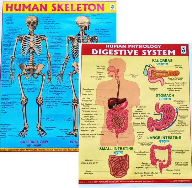 फोटोग्राफिक पेपर