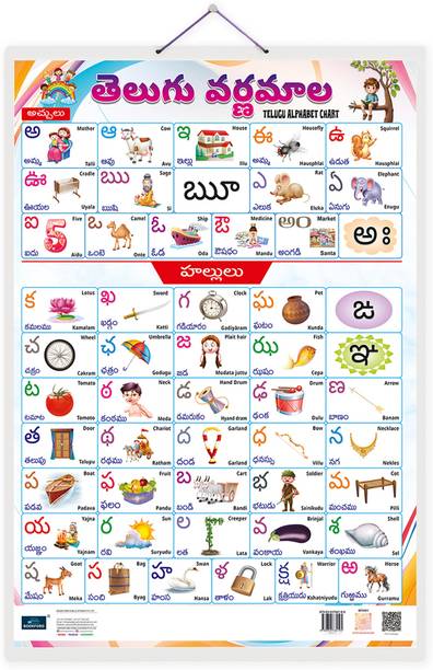 Telugu Alphabet Double Side Laminated Chart - Non-Tearable and Waterproof, Double Sides Printed Laminated Chart, Perfect for Homeschooling, Kindergarten and Nursery Childrens Paper Print