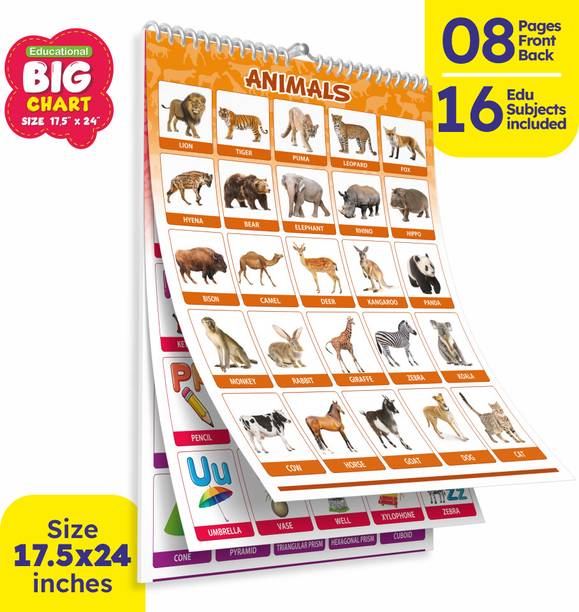 Look & Learn Big Chart Set of 16 Edu Subjects 8 Pages Front & Back (Multicolor) Paper Print