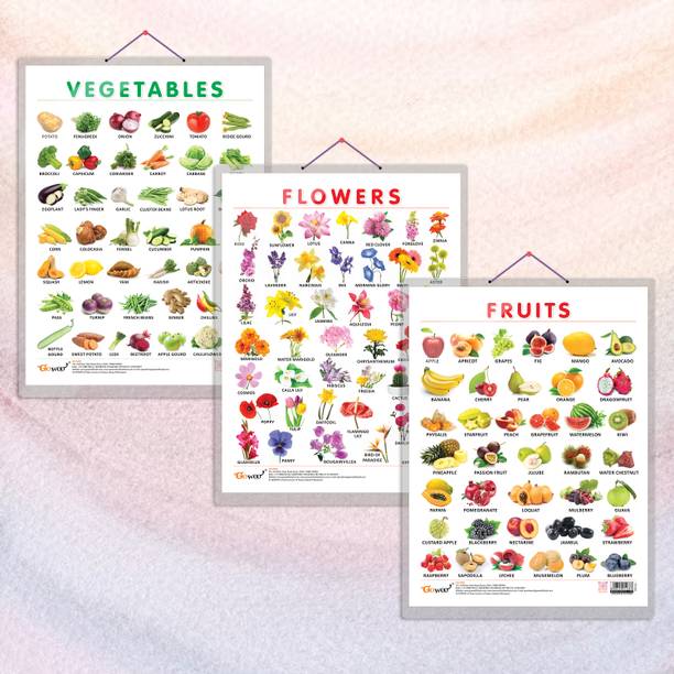 FRUITS CHART HARD LAMINATED, FLOWERS CHART HARD LAMINATED, and VEGETABLE CHART HARD LAMINATED | combo of 3 charts | Engaging Charts for Plant-Based Learning Paper Print
