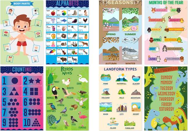 Study Learning Charts| Set of 8 - Body parts, Alphabets, Counting, Birds name, Seasons, Months Of The Year, Landform Types, Day of The Week With Graphics | Suitable For Home And School Decor Paper Print