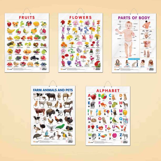 ALPHABET CHART GLOSS LAMINATED, FRUITS CHART GLOSS LAMINATED, FLOWERS CHART GLOSS LAMINATED, FARM ANIMALS AND PETS CHART GLOSS LAMINATED, and PARTS OF BODY CHART GLOSS LAMINATED | combo of 5 charts |Colorful Charts for Kids' Exploration Paper Print