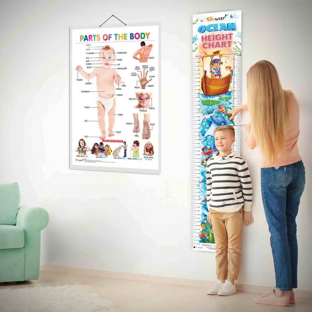 Parts of the Body and OCEAN HEIGHT CHART | Set of 2 chart | Discovering the combo of Body Parts & Ocean Height Chart Paper Print