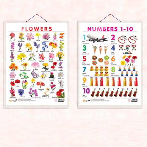 FLOWERS CHART HARD LAMINATED and NUMBER 1-10 CHART HARD LAMINATED | combo of 2 charts |Vibrant Blooms and Number Marvels Paper Print
