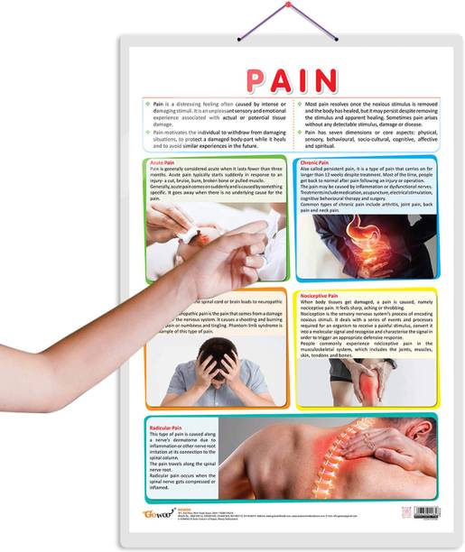 PAIN CHART :- Illustrated Medical Poster Detailing Types of Pain and Their Physiological Causes, Diagnostic Diagram for Healthcare Professionals Paper Print