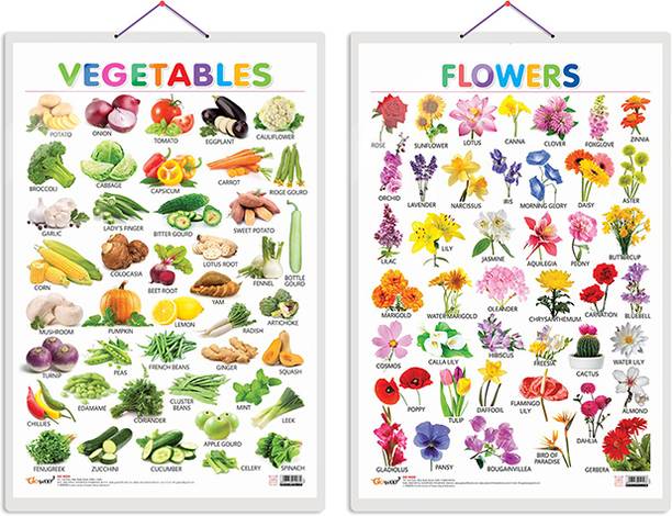 Set of 2 Vegetables and Flowers Early Learning Educational Charts for Kids | 20"X30" inch |Non-Tearable and Waterproof | Double Sided Laminated | Perfect for Homeschooling, Kindergarten and Nursery Students Paper Print
