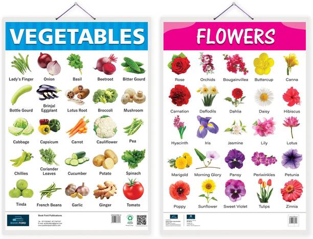 Flowers and Vegetable Early Learning Educational Chart (set of 2) for Kids-Non-Tearable and Waterproof, Perfect for Homeschooling, Kindergarten and Nursery Childrens Paper Print