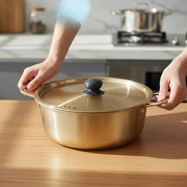 VALAJOGI Stainless Steel Stew Pot with Lid Stew Hot Pot Kitchen Serving Casserole Pot 29 cm diameter 2.5 L capacity with Lid