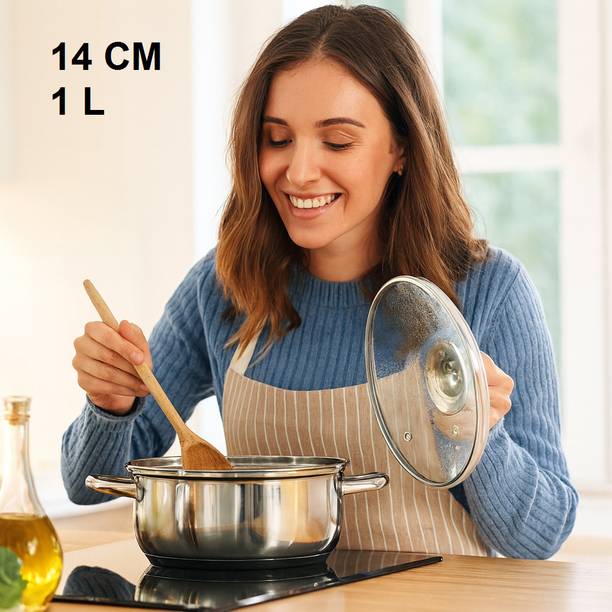 DAIZEL Premium Stainless Steel Cooking Pot with Lid Durable Kitchen Casserole Pot 14 cm diameter 1 L capacity with Lid
