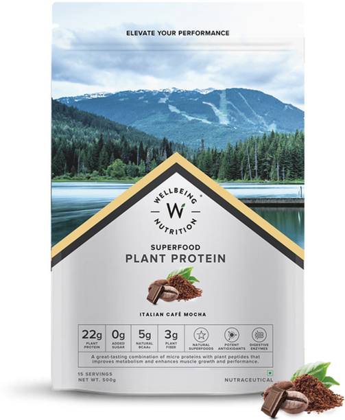 Wellbeing Nutrition Organic Vegan Plant Protein Isolate Powder, Pea & Brown Rice Protein, Superfood Plant-Based Protein