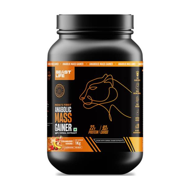 BeastLife High Rich Protein Gainer - No Maltodextrin Weight Gainers/Mass Gainers