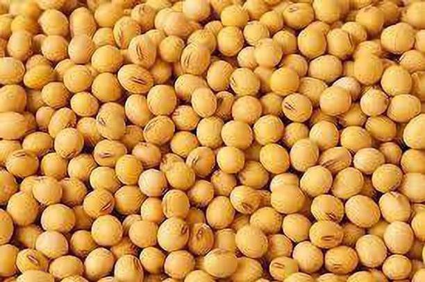 FRENUTRI Organic Soya Bean (Whole)