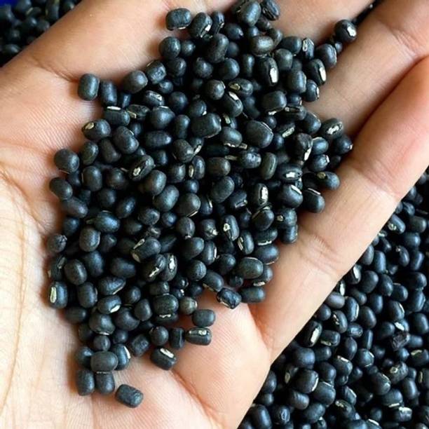 Gangaur Black Urad Dal (Whole)