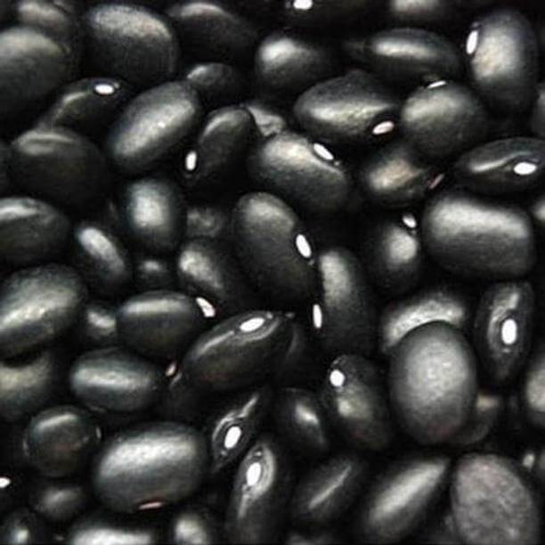 KINAAV Black Rajma (Whole) (BLACK)