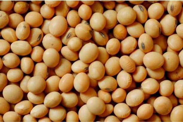 FRENUTRI Organic Soya Bean (Whole)