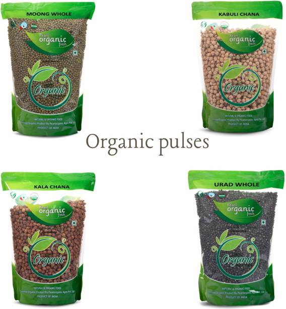 Pearl Organic Fresh White, Black, Green Mix Dal (Whole) (Urad Whole, Moong Whole, Kala Chana & Kabuli Chana)